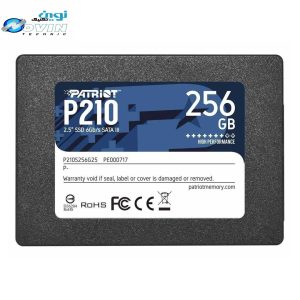 اس اس دی اینترنال پتریوت مدل P210 ظرفیت 256 گیگابایت
